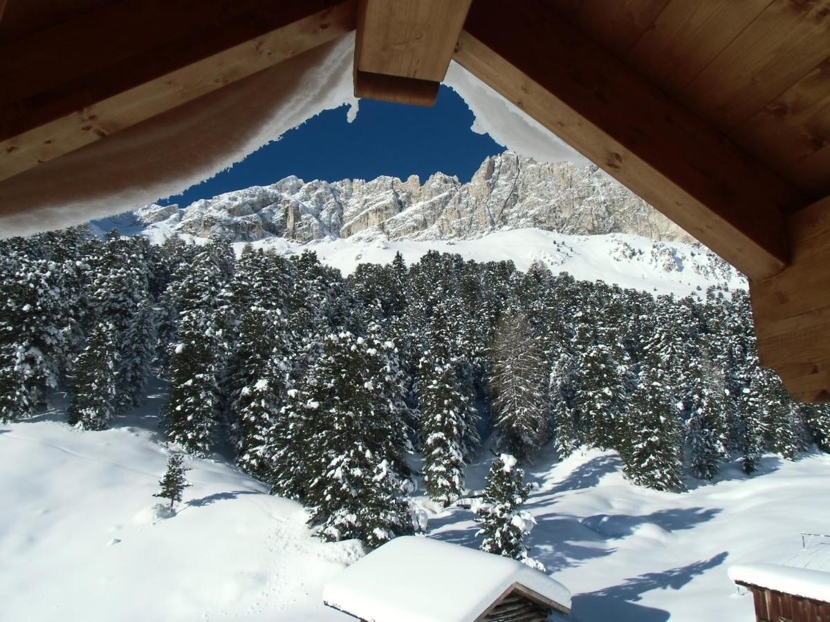 Hotel Rifugio Stella Alpina Spiz Piaz per escursionisti Pozza di Fassa Esterno foto